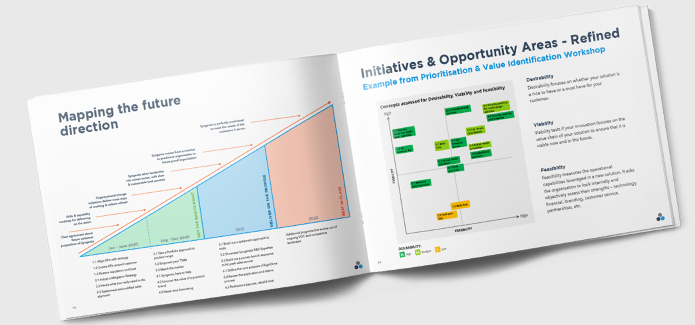 Mapping the future direction booklet mock up